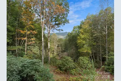 296 Ivy Ridge Circle, Sylva, NC 28779 - Photo 39