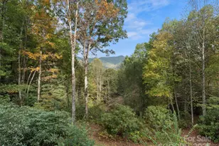 296 Ivy Ridge Cir, Sylva, NC 28779 - Photo 39