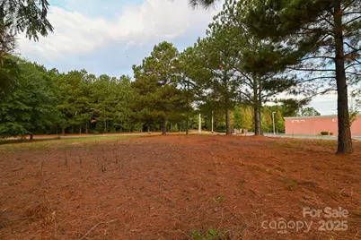 203 N Van Lingle Mungo Boulevard, Pageland, SC 29728 - Photo 23