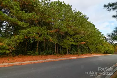 203 N Van Lingle Mungo Boulevard, Pageland, SC 29728 - Photo 15