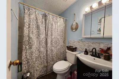 41 Gunches Dirt Road, Candler, NC 28715 - Photo 21