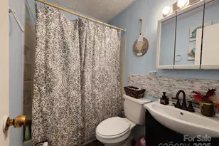 41 Gunches Dirt Rd, Candler, NC 28715 - Photo 21