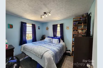 41 Gunches Dirt Road, Candler, NC 28715 - Photo 19