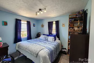 41 Gunches Dirt Rd, Candler, NC 28715 - Photo 19