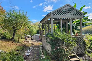 41 Gunches Dirt Rd, Candler, NC 28715 - Photo 29