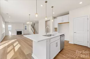 8233 Franklin Trl St, Mint Hill, NC 28227 - Photo 3