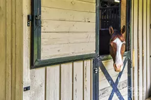 305 Clubhouse Ln, Mill Spring, NC 28756 - Photo 41