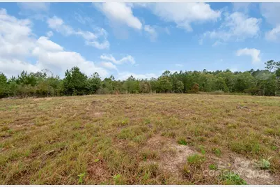 5263 Raleys Mill Road, Bethune, SC 29009 - Photo 35