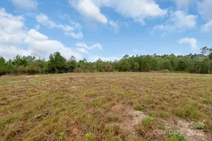 5263 Raleys Mill Rd, Bethune, SC 29009 - Photo 35