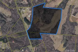 1360 Skunk Hollow Rd, Campobello, SC 29322 - Photo 35