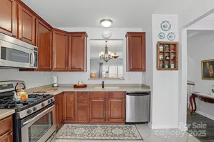 15815 Castle Watch Ave, Charlotte, NC 28277 - Photo 19