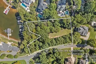 19002 Lakehouse Pointe Dr, Cornelius, NC 28031 - Photo 3