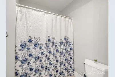 110 Creeks End Circle, Mills River, NC 28759 - Photo 25