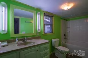 948 Riceville Rd, Asheville, NC 28805 - Photo 21