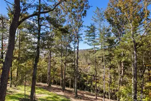 7 Kent Pl, Asheville, NC 28804 - Photo 41