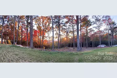 0 Mountain Grove Lane #48, Fletcher, NC 28732 - Photo 1