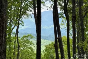 768 Boar Rdg Rd, Sylva, NC 28713 - Photo 1