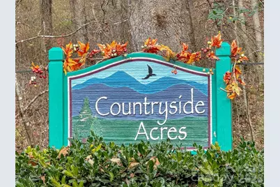 165 Foggy Cove Road, Waynesville, NC 28785 - Photo 3