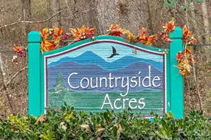 165 Foggy Cove Rd, Waynesville, NC 28785 - Photo 3