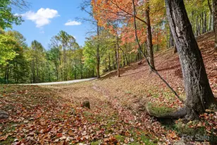 42 Hickory Springs Rd, Burnsville, NC 28714 - Photo 19