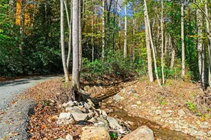 42 Hickory Springs Rd, Burnsville, NC 28714 - Photo 33