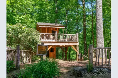 42 Hickory Springs Road #42, Burnsville, NC 28714 - Photo 29