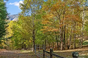 42 Hickory Springs Rd, Burnsville, NC 28714 - Photo 9