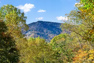 42 Hickory Springs Rd, Burnsville, NC 28714 - Photo 23