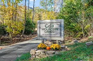 42 Hickory Springs Rd, Burnsville, NC 28714 - Photo 35