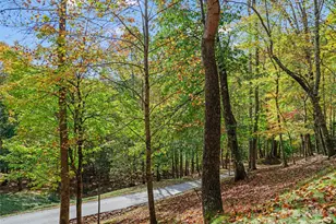 42 Hickory Springs Rd, Burnsville, NC 28714 - Photo 21