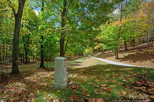 42 Hickory Springs Rd, Burnsville, NC 28714 - Photo 5