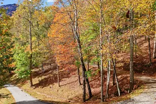 42 Hickory Springs Rd, Burnsville, NC 28714 - Photo 13