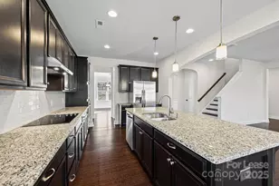 18204 Studman Branch Ave, Charlotte, NC 28278 - Photo 11