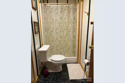 408 Dora Lane, Bakersville, NC 28705 - Photo 23