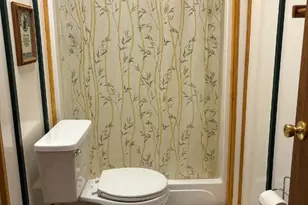 408 Dora Ln, Bakersville, NC 28705 - Photo 23