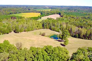 904 Troy Mill Rd, Hamptonville, NC 27020 - Photo 43