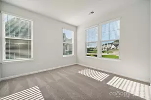 319 Alameda Wy, Matthews, NC 28104 - Photo 21