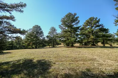 0 Wagoner Road, Richfield, NC 28137 - Photo 9