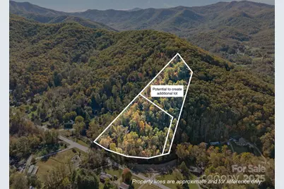 74 Davis Chapel Road, Candler, NC 28715 - Photo 5