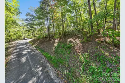 Lot 42 Palmer Place, Lake Lure, NC 28746 - Photo 5
