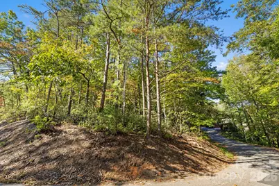Lot 42 Palmer Place, Lake Lure, NC 28746 - Photo 3