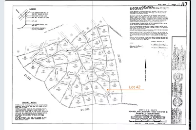 Lot 42 Palmer Place, Lake Lure, NC 28746 - Photo 27