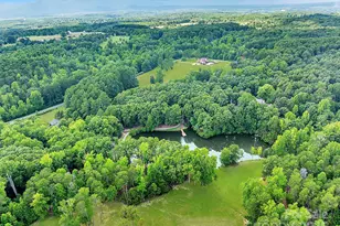 1380 Skunk Hollow Rd, Campobello, SC 29322 - Photo 29