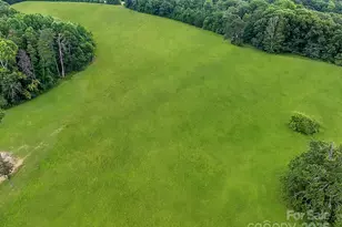 1380 Skunk Hollow Rd, Campobello, SC 29322 - Photo 33