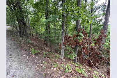 0 Buzzards Place #186, Lake Lure, NC 28746 - Photo 5