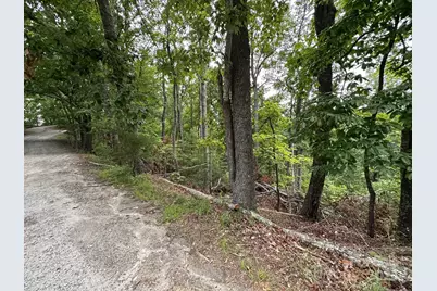 0 Buzzards Place #186, Lake Lure, NC 28746 - Photo 3