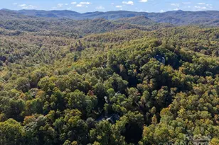 384 Oakanoah Cir, Brevard, NC 28712 - Photo 3