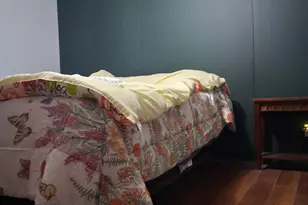 330 Dirty Ankle Rd, Lawndale, NC 28090 - Photo 25