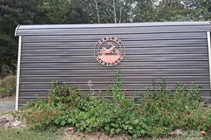 330 Dirty Ankle Rd, Lawndale, NC 28090 - Photo 7