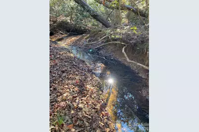 660 Scoggins Road, Rutherfordton, NC 28139 - Photo 45